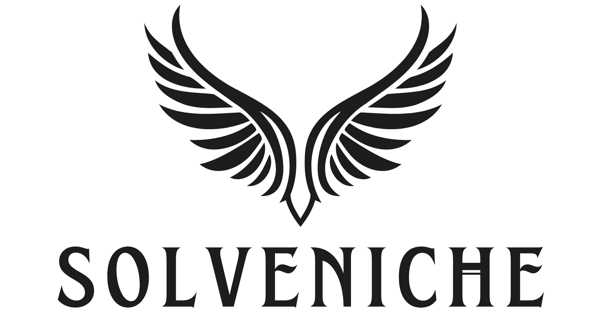 SOLVENICHE DESIGNS VENTURES